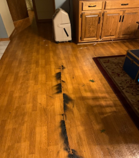 Scorch marks on the floor from a home fire.