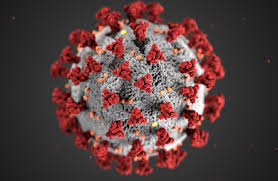 Image of the COVID-19 virus.