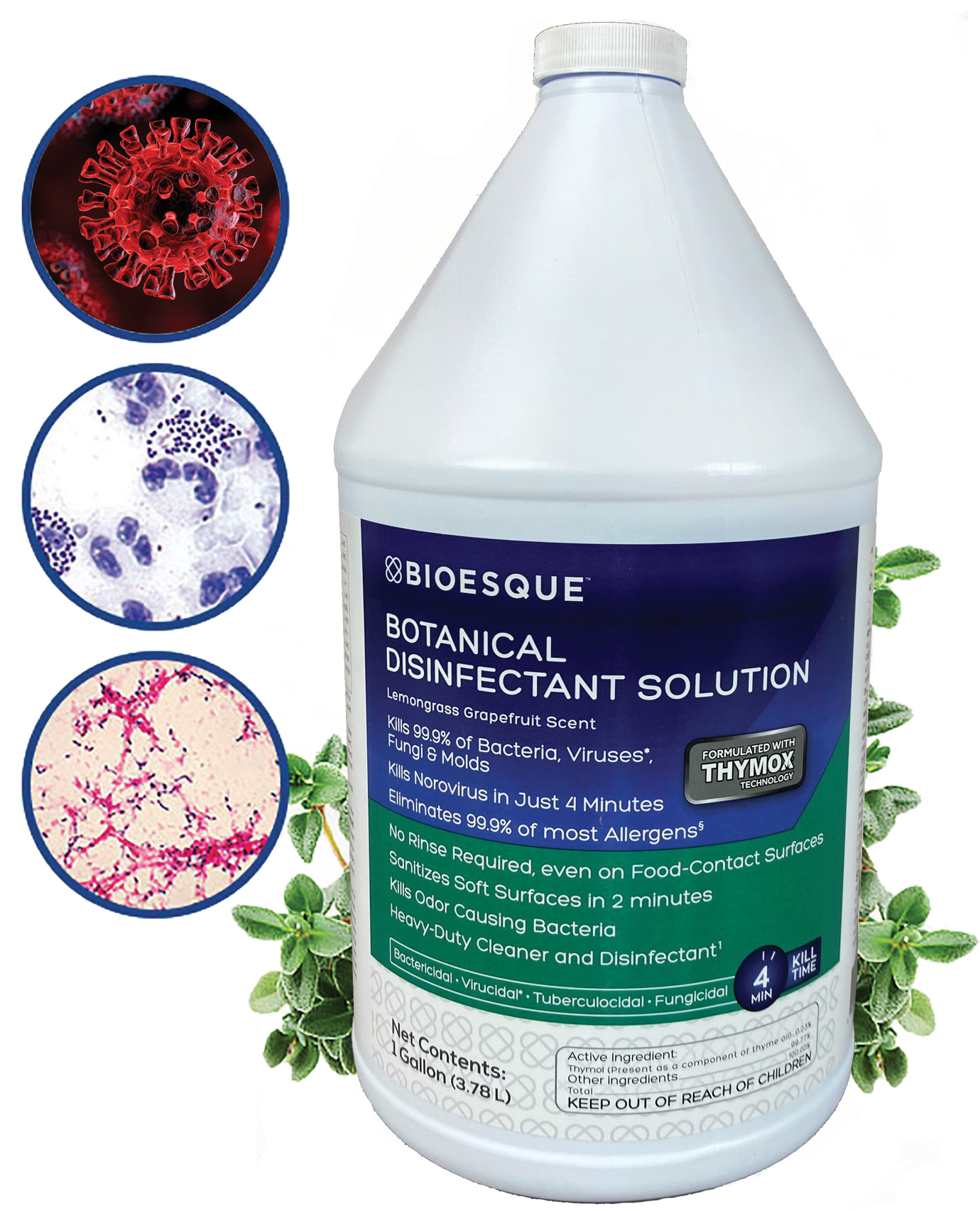 Bioesque Hospital Grade Disinfectant